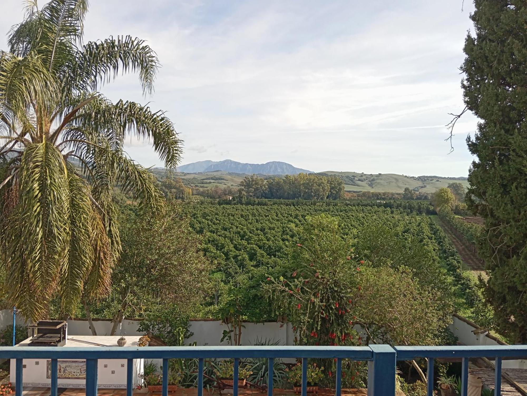 Los Dos Cedros San Pablo Exterior foto